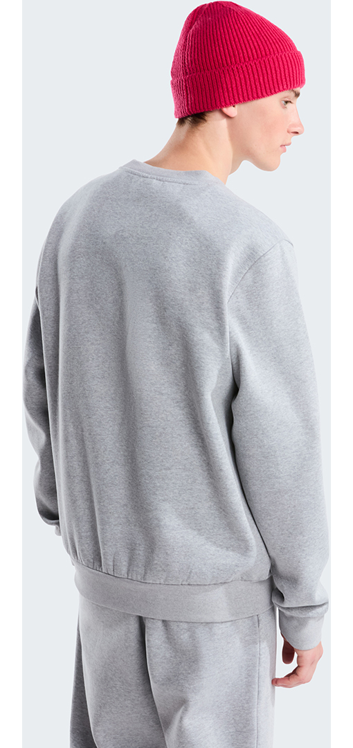 Artikelbild 3 des Artikels “EVOLUTION SIMPLE DOME Sweater 2027 tnf pale grey heather L“