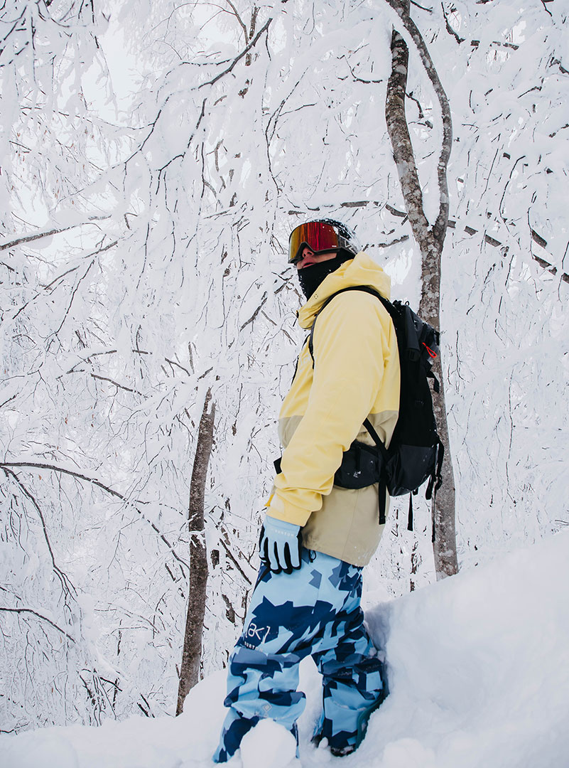 Burton AK GORE TEX VELOCITY ANORAK Jacket buttermilk mushroom