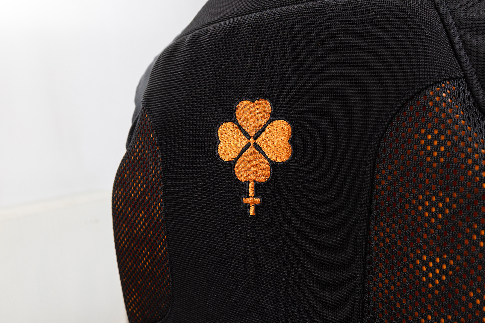 Product image 4 of the product “BACKPROTECTOR 2027 black L”
