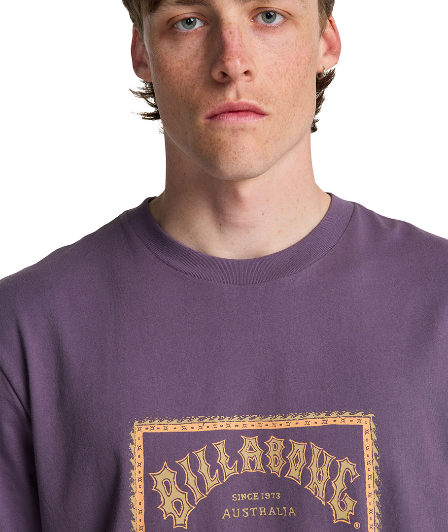 Artikelbild 4 des Artikels “ARCH FRAME T-Shirt 2026 dusty grape M“