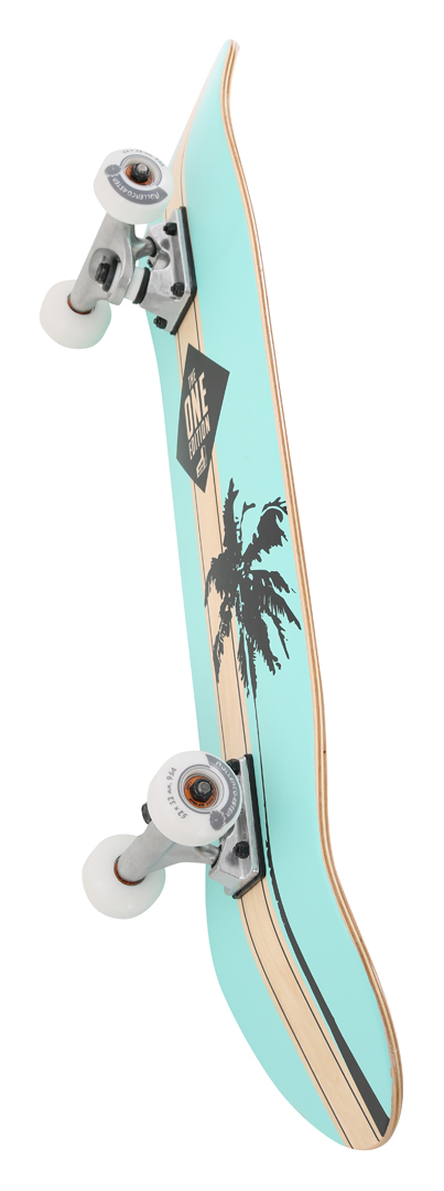 Miniaturansicht 36  - ROLLERCOASTER Skateboard Komplettboard Longboard FEATHERS + ICECREAM + PALMS +