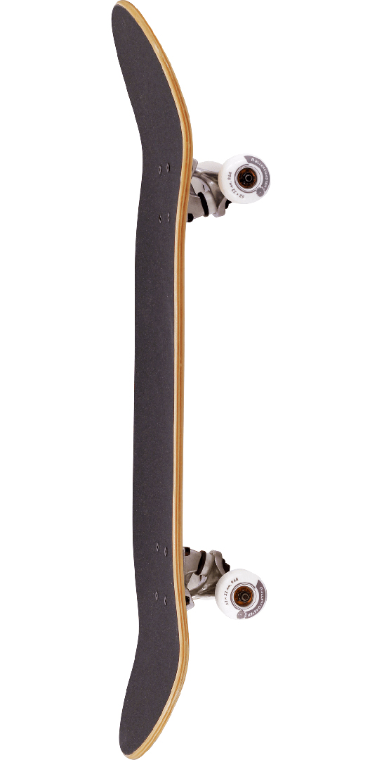 Miniaturansicht 25  - ROLLERCOASTER Skateboard Komplettboard Longboard FEATHERS + ICECREAM + PALMS +